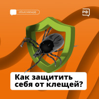 Как защитить себя от клещей? Как защитить себя от клещей?.