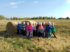Экскурсия на поле Экскурсия на поле.